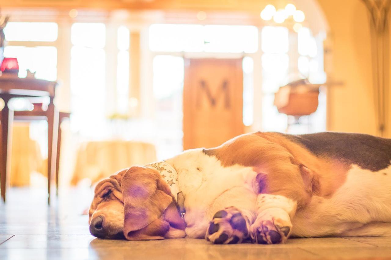 Hotel Magdalena Im Zillertal - Urlaub Mit Hund Ried im Zillertal Exterior foto